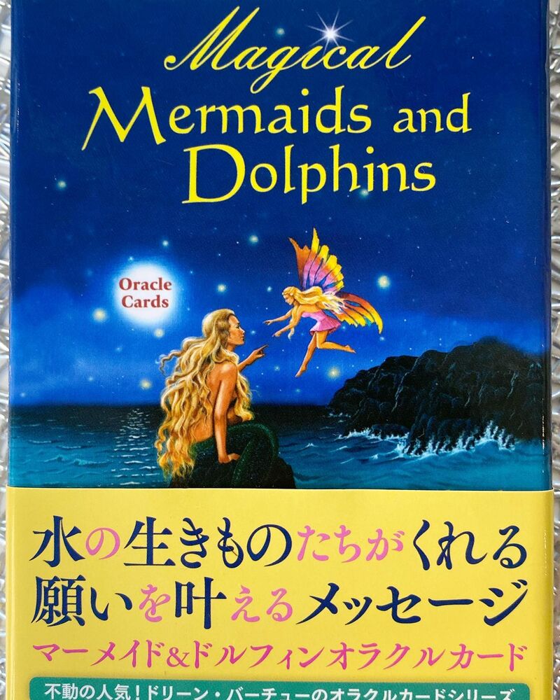 画像1387